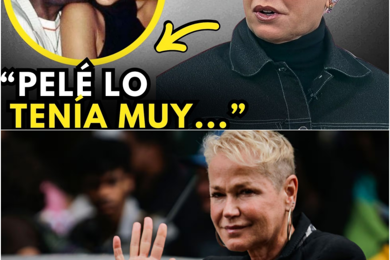 El Lado Oculto de la Reina de los Bajitos: La Verdad que Xuxa Finalmente Reveló