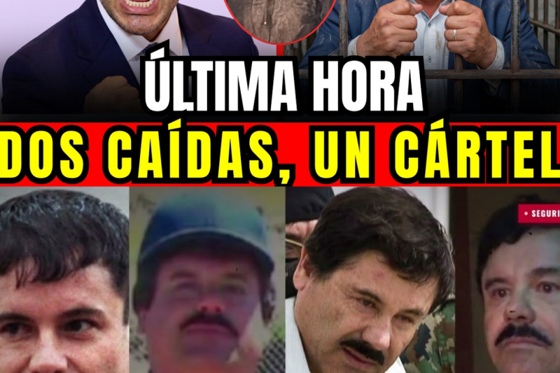 HARFUCH GOLPEA A LOS CHAPITOS: cae ‘El Gabito’ y el alcalde que compró el narco