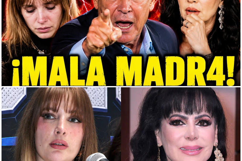 ¡ESTALLA LA BOMBA! Alfredo Adame Humilla Sin Piedad a Addis e Imelda Tuñón Para Defender a Maribel Guardia por el Caso de Juliancito
