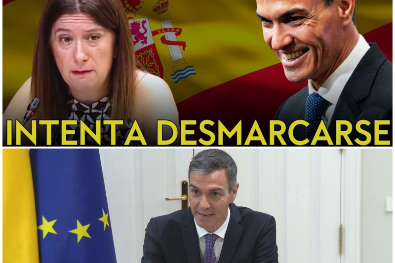 ÚLTIMA HORA | “Jamás lo hubiera tolerado”: Pedro Sánchez estalla ante las presiones y se desmarca tajantemente de las supuestas “cloacas del PSOE”