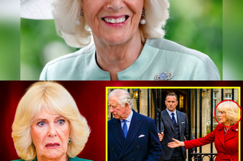 Guerra silenciosa en el palacio británico: El rey Carlos Tercero aparta a la reina Camila de las decisiones estratégicas de Balmoral bajo la presión del príncipe Guillermo y la princesa Ana