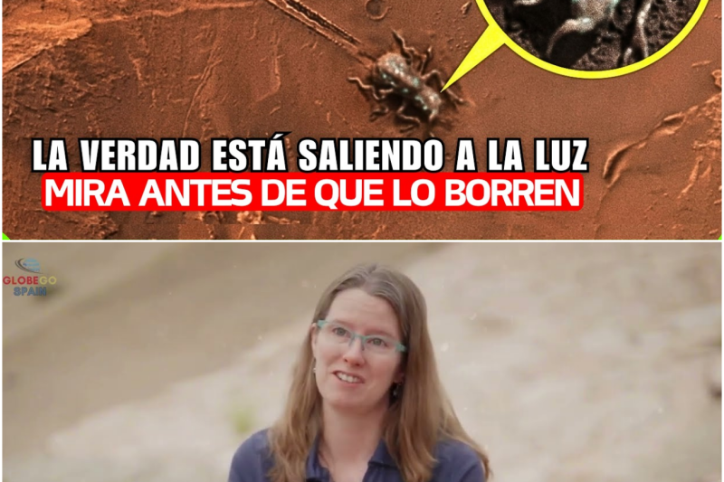 Marte al Descubierto: Ilusiones Ópticas, Basura Espacial y la Verdadera Búsqueda de Vida Extraterrestre