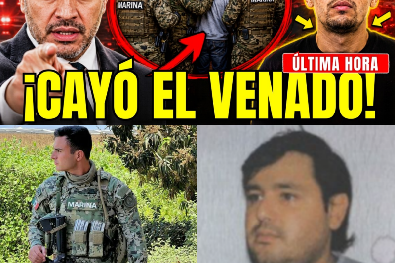 La Caída de “El Venado” y el Oscuro Secreto de Manzanillo: La Guerra Oculta que Aterroriza a Colima