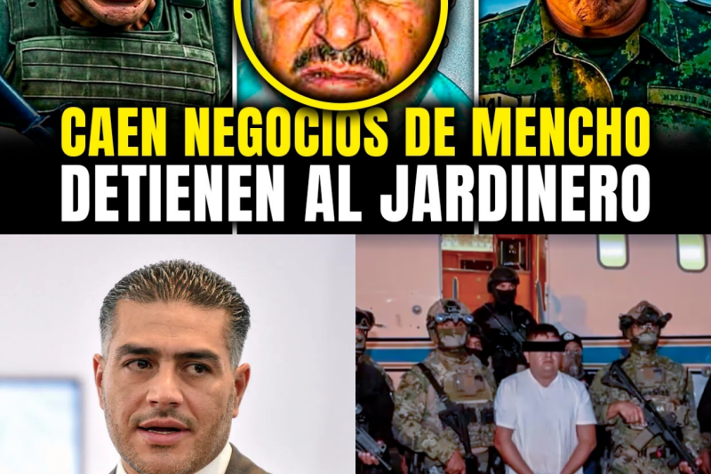 El Golpe Maestro de Harfuch: La Caída de “El Jardinero” y el Desmantelamiento Financiero a Plena Luz del Día