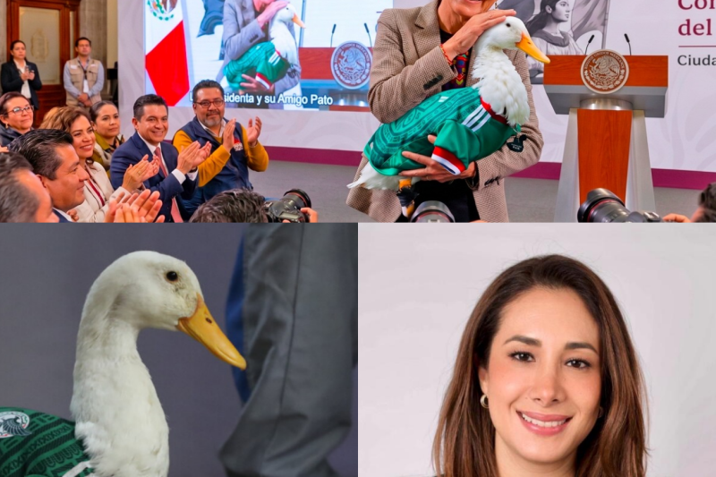 ¡No Lo Van a Creer! El Conmovedor Secreto Detrás de la Aparición del Pato Merlín en La Mañanera