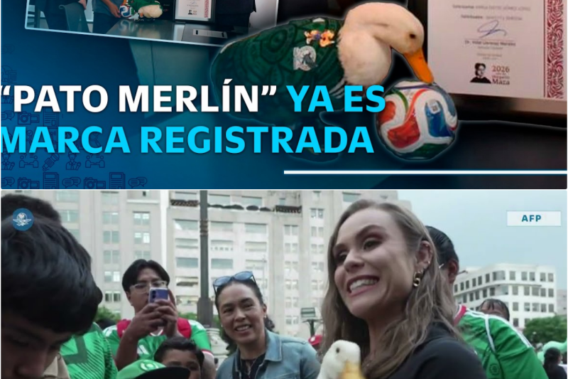¡Protección histórica en México! El tierno “Pato Merlín” obtiene oficialmente su registro de marca ante el IMPI tras un polémico intento de apropiación en Yucatán