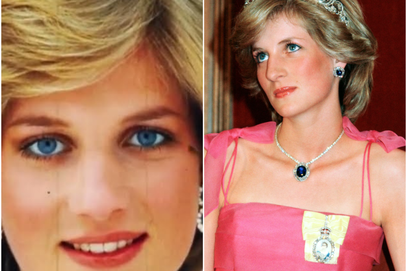Princesa Diana: La Verdad que Intentaron Ocultar Durante Años