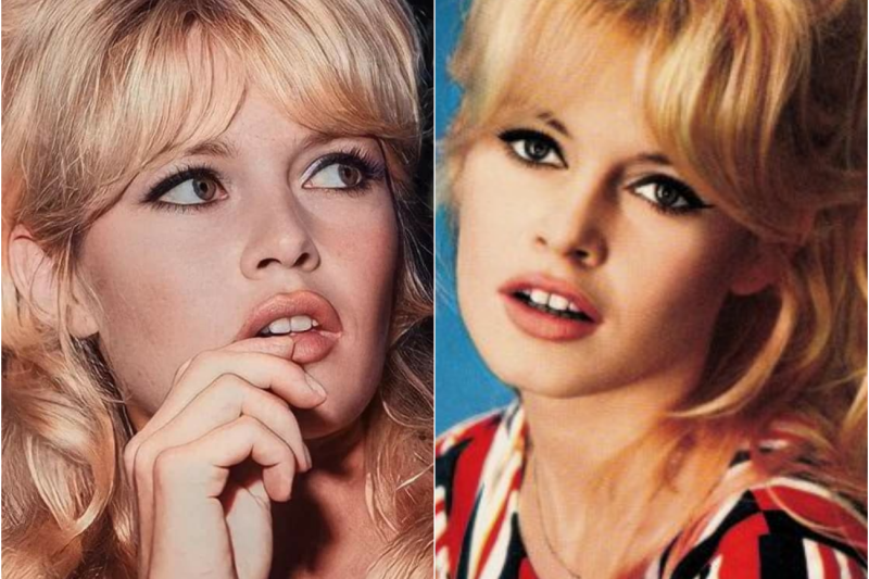 Brigitte Bardot y su único hijo: una historia de dolor, fama y controversia