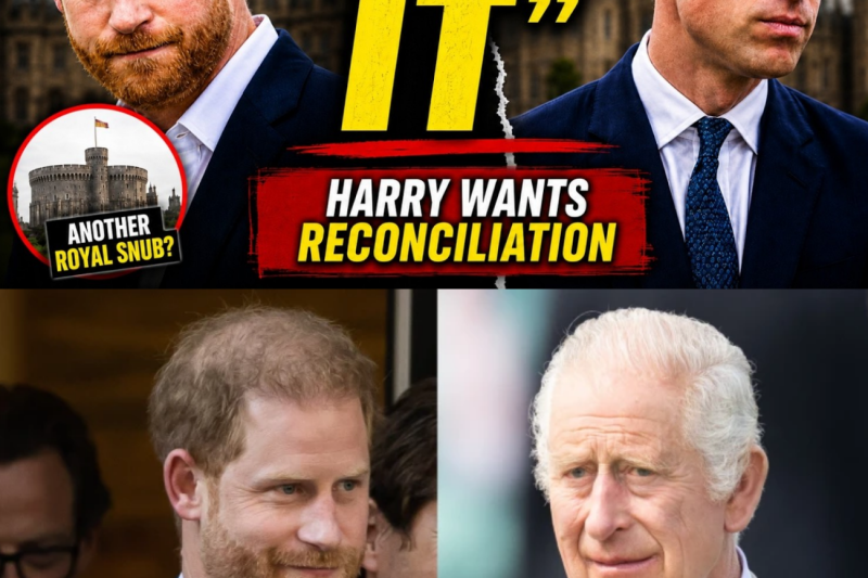 El abismo de la corona: el desesperado deseo de reconciliación del príncipe Harry y la implacable barrera del príncipe William
