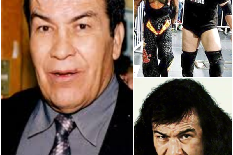 PERRO AGUAYO: POR ESTO MATARON A SU HIJO Y LO HUMILLARON HASTA QUE MURIÓ
