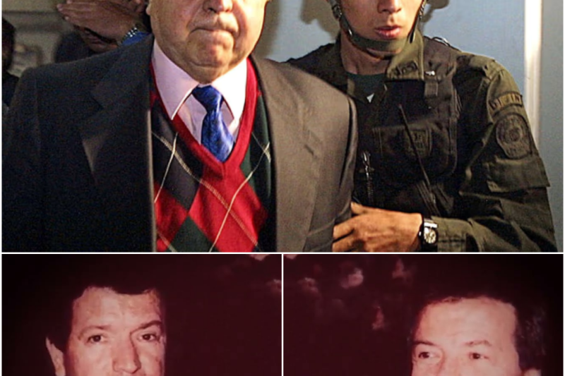 El Ocaso de los Intocables: Cómo la Ambición y la Corrupción Derrumbaron el Imperio Corporativo del Cartel de Cali
