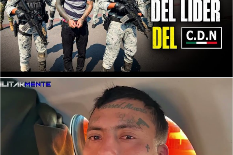 El Colapso de los Titanes: La Cacería de “El Ricky”, la Traición en Sinaloa y el Fin de la Dinastía de “El Mencho”