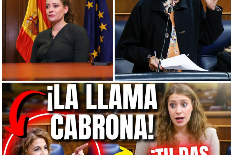 Tensión Máxima en el Congreso: El Brutal Choque entre Ester Muñoz y María Jesús Montero por los Presupuestos, la Corrupción y el Futuro de EspañaTensión Máxima en el Congreso: El Brutal Choque entre Ester Muñoz y María Jesús Montero por los Presupuestos, la Corrupción y el Futuro de España