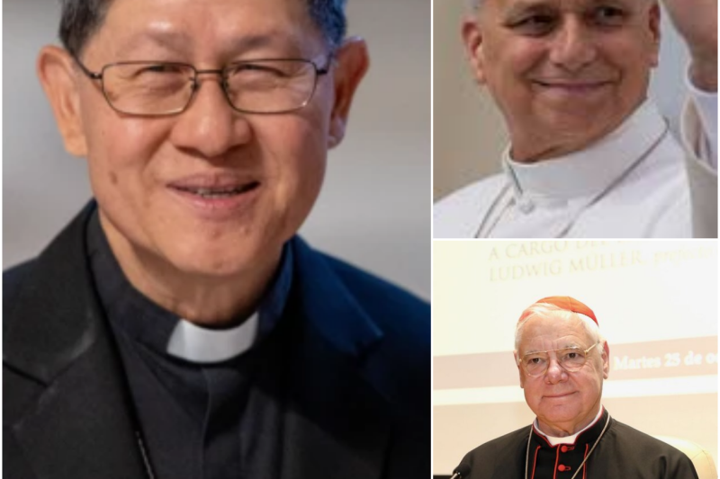 ÚLTIMA HORA: MÜLLER y BURKE Revelan Lo Que Realmente Hay Dentro de la Encíclica del Papa León XIV