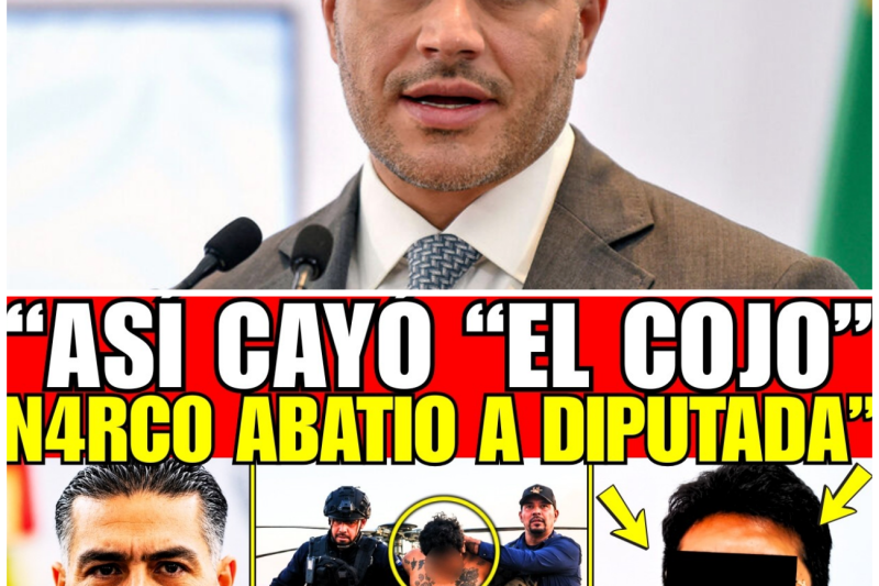 ¡HARFUCH CAZÓ A “EL COJO” de LA UNIÓN TEPITO; HIZO ATENTADO a DIPUTADA y ESTABA PRÓFUGO!