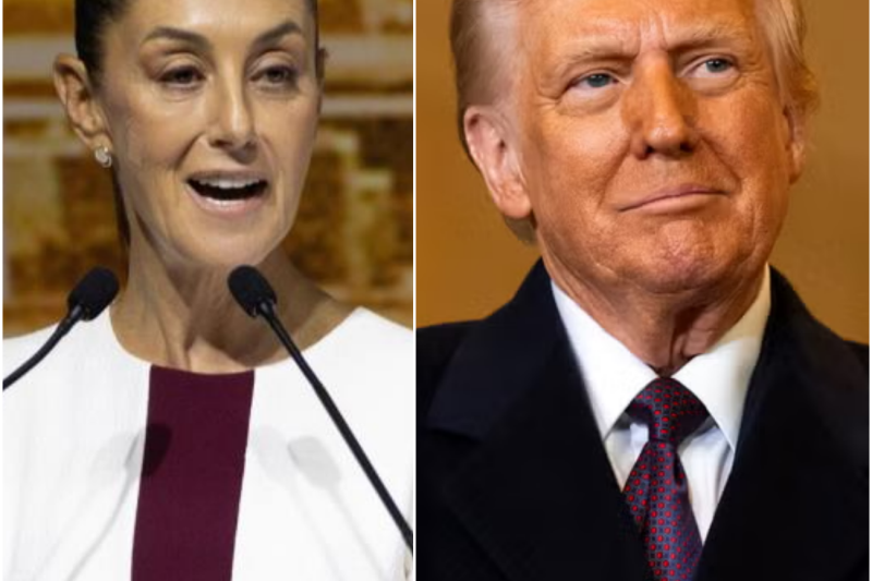 El Tiro por la Culata: Cómo las Redadas Migratorias Destruyeron 668,000 Empleos y Le Dieron la Razón a Claudia Sheinbaum