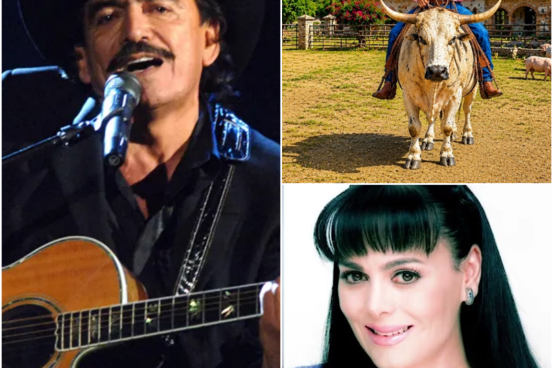 El Legado de Piedra y Lágrimas: La Verdad Detrás de “La Octava Maravilla” y la Herencia Millonaria de Joan Sebastian