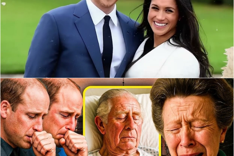 La Princesa Ana revela el demoledor plan del Rey Carlos: William y Harry atónitos ante el último deseo que define el futuro de la corona