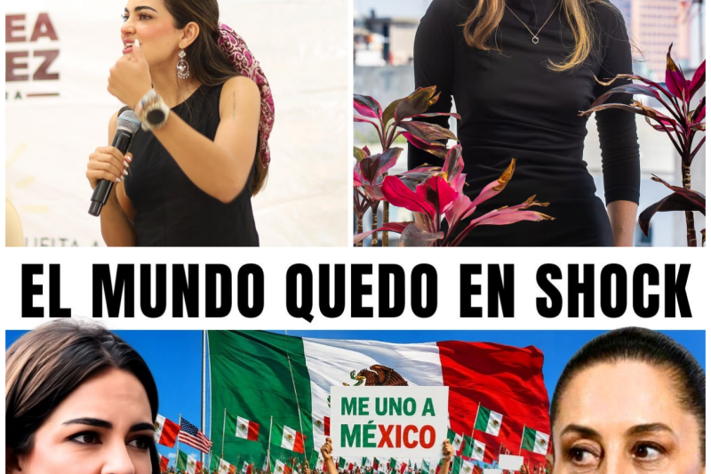 El Discurso que Paralizó a México: La Brutal Verdad que Rompió el Silencio en el Senado