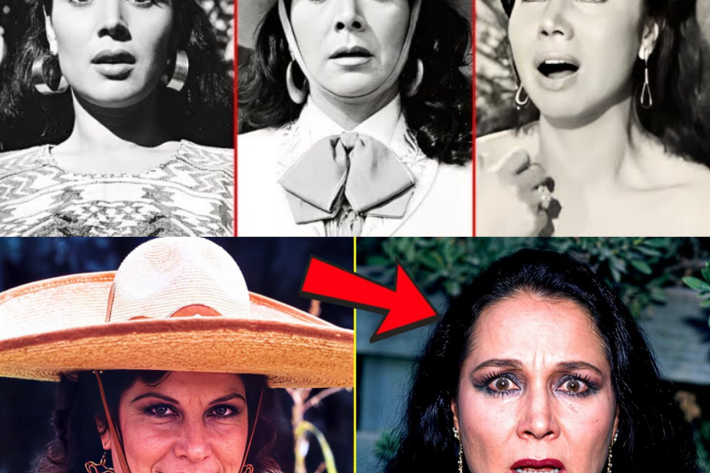 Los OSCUROS SECRETOS de las 3 HERMANAS JIMÉNEZ: FLOR SILVESTRE, LA PRIETA LINDA Y MARY JIMÉNEZ…