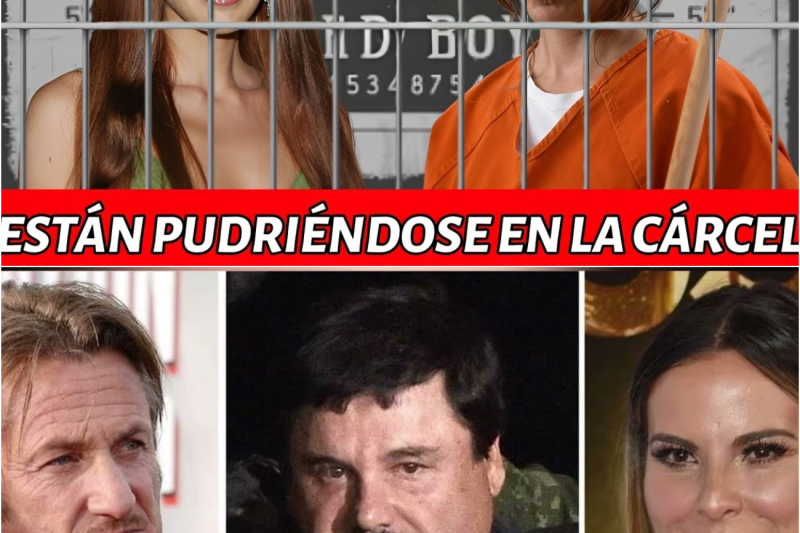 Del estrellato absoluto al abismo del escándalo: las perturbadoras caídas de las celebridades de la televisión que destruyeron sus imperios de fama