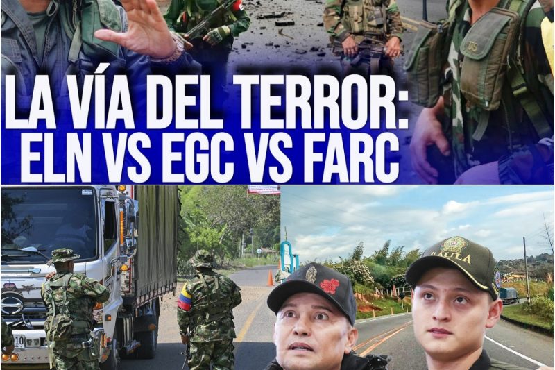 La Carretera del Terror: El Aterrador Viaje sin Retorno por la Vía Panamericana entre Cali y Popayán