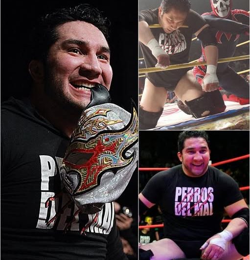 PERRO AGUAYO JR: La ASQUEROSA VERDAD que OCULTARON 11 AÑOS y