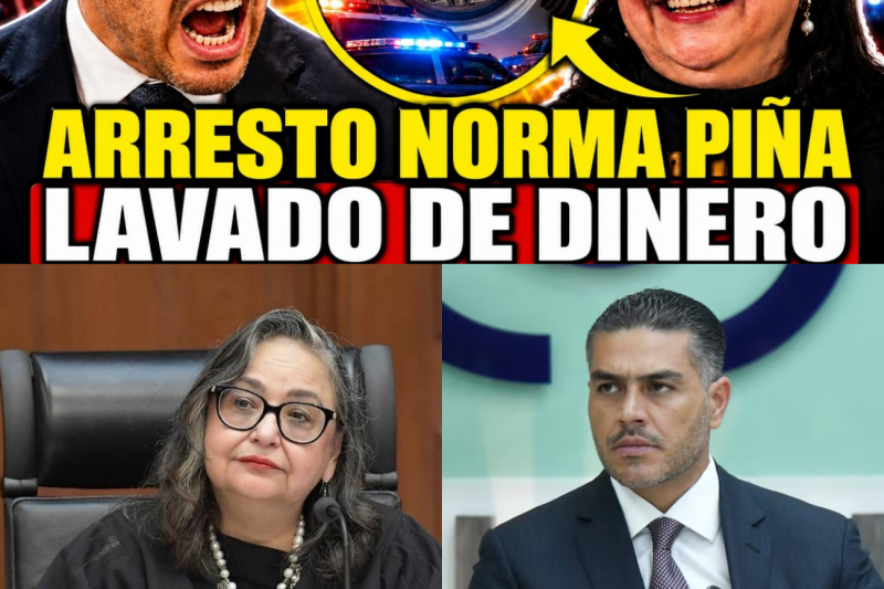La Caída del Imperio Judicial: Cómo una Notaría en Puebla Destapó la Gigantesca Red de Lavado de Norma Piña