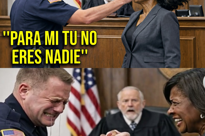 Le dio una bofetada frente al juez… no sabía quién era ella