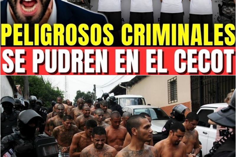 MEGA OPERATIVO DEJA CAPTURADOS 4 MALACATES DE LA MS-13 OCULTARON CUERPO EN UN POZO
