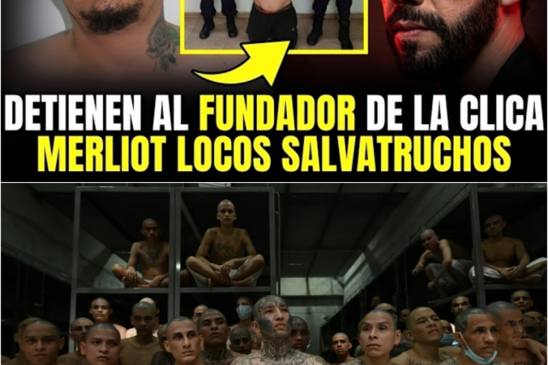 🔥DURO GOLPE A LA MS-13: CAPTURAN A “FLIPER DE MERLIOT” ASÍ EVITABA SER CAPTURADO