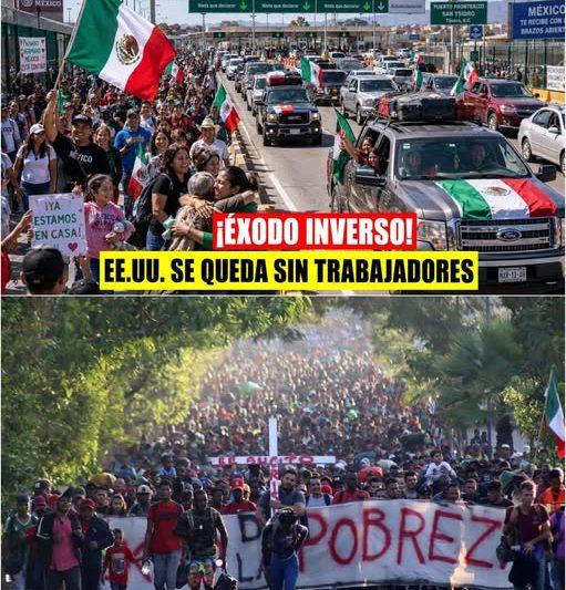 El Éxodo Inverso: La Fuga Masiva de Millones de Mexicanos que Está Paralizando la Economía de Estados Unidos