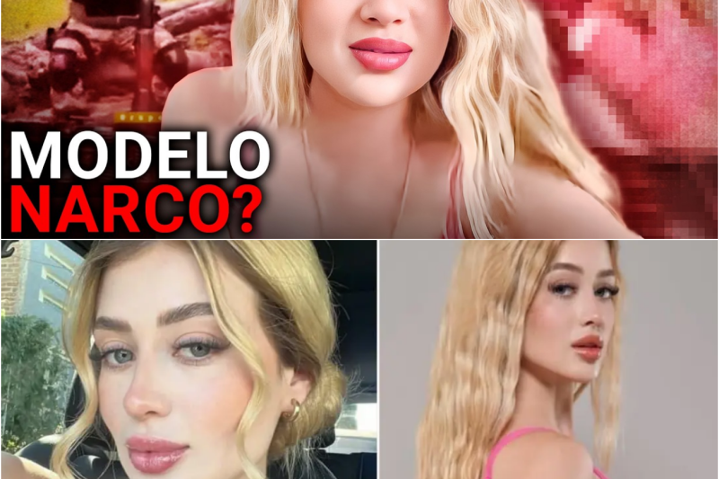 Crónica de una Ejecución Viral: El Asesinato en Vivo de Valeria Márquez que Estremeció a México y Destapó una Red de Amenazas y Traición