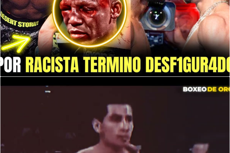 LOS GRINGOS RACISTAS que INSULTARON a MEXICO y fueron DESTRUIDOS!