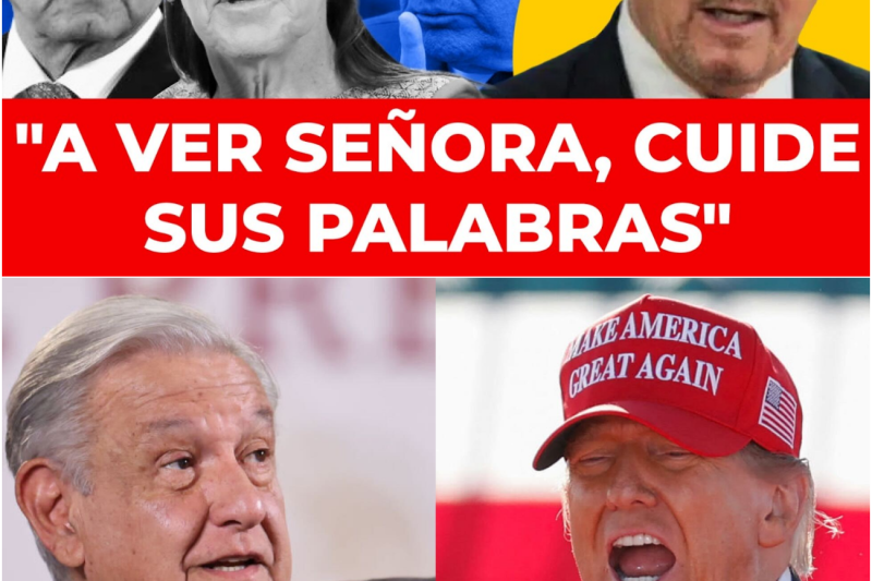 Soberanía Nacional frente a Seguridad Compartida: El Complejo Cruce de Declaraciones entre México y Estados Unidos en la Lucha contra el Crimen Transnacional