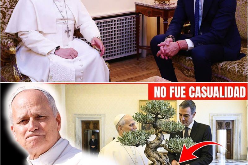 El misterio del olivo: El mensaje bíblico oculto tras el regalo de Pedro Sánchez al Papa León XIV que los informativos ignoraron