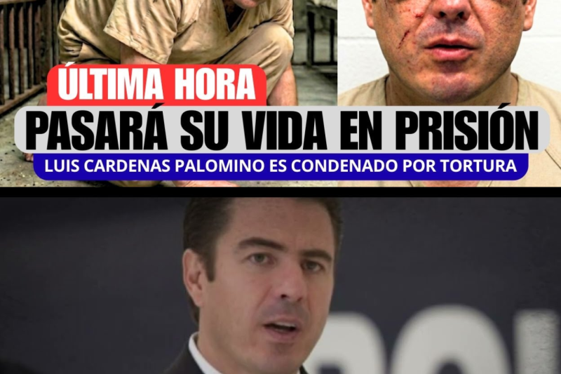 ¡De hombre fuerte del poder a noches de lágrimas tras las rejas! Genaro García Luna confiaba ciegamente en Luis Cárdenas Palomino VL