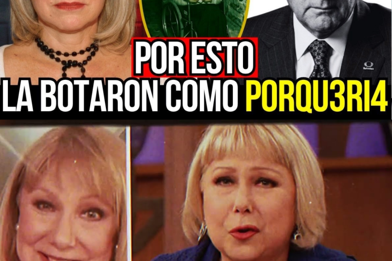 Cristina Saralegui fue la reina de la televisión, pero vivía un infierno. Despedida brutalmente por teléfono tras 21 años de éxito, humillada por magnates y arrastrada al abismo por el alcohol y tragedias familiares. ¿Qué cruel frase le dijo el dueño de Televisa? ¿Qué pasó con su hijo en aquel estacionamiento?