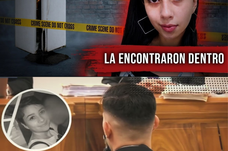 El Testamento de la Traición: El Momento en que una Viuda Descubrió la Doble Vida de su Esposo Multimillonario