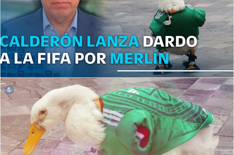 El Pato Merlín: De las Calles de la Capital al Mundial y el Feroz Debate sobre la Explotación Corporativa que Sacude a la Nación
