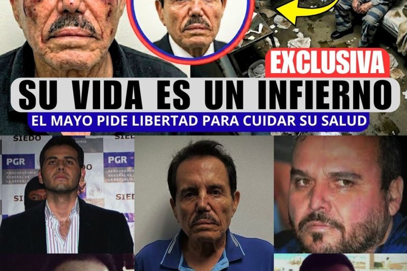 Así Vive El Mayo Zambada en La Cárcel: 50 Años Libre y Hoy Tiembla Solo en Brooklyn  tc