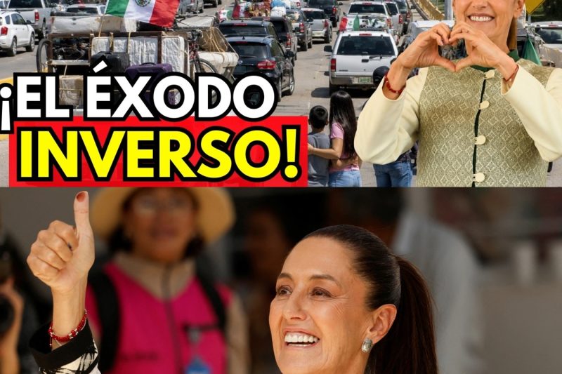 El ÉXODO al revés millones de MEXICANOS regresan y traen lo que EE.UU. nunca quiso devolver tc