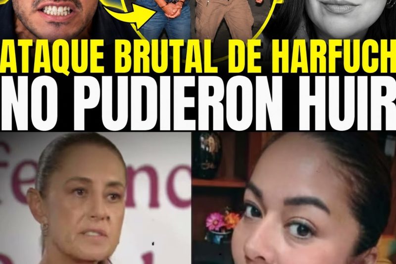 ¡El Operativo Silencioso que Estremece a México! Harfuch Captura a 6 por el Secuestro de Roxana Guzmán en Nanchital, pero el Verdadero Terror Apenas Comienza.