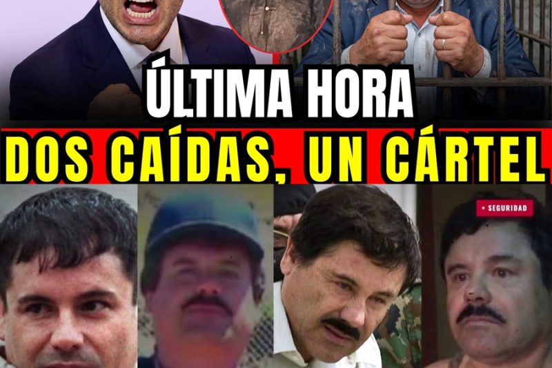 HARFUCH GOLPEA A LOS CHAPITOS: cae ‘El Gabito’ y el alcalde que compró el narco 