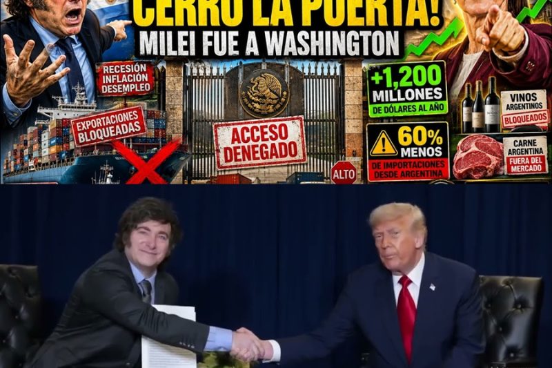 México Asesta un Golpe Letal a la Economía Argentina: La Verdad Oculta Detrás de la Guerra Comercial