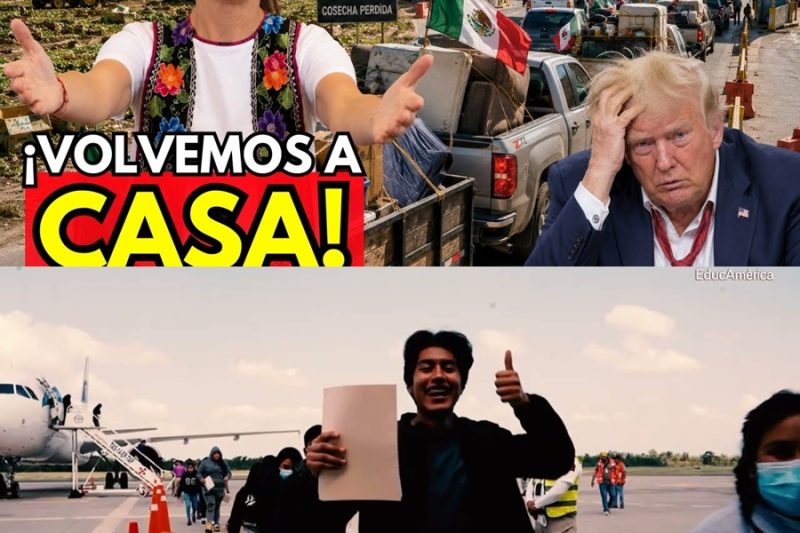 ¡El colapso del sueño americano! Hartos del terror de Trump, decenas de miles de mexicanos protagonizan un éxodo histórico a la inversa, dejando los campos de Estados Unidos pudriéndose en la ruina total.