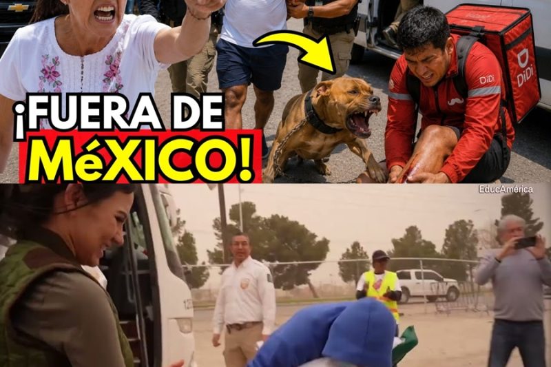 Cubano AGR3DE a repartidor MEXICANO en Cancún y México le CIERRA las puertas para siempre  tc