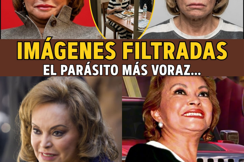 Elba Esther Gordillo: El Imperio, la Caída y los Indignantes Privilegios de “La Maestra”