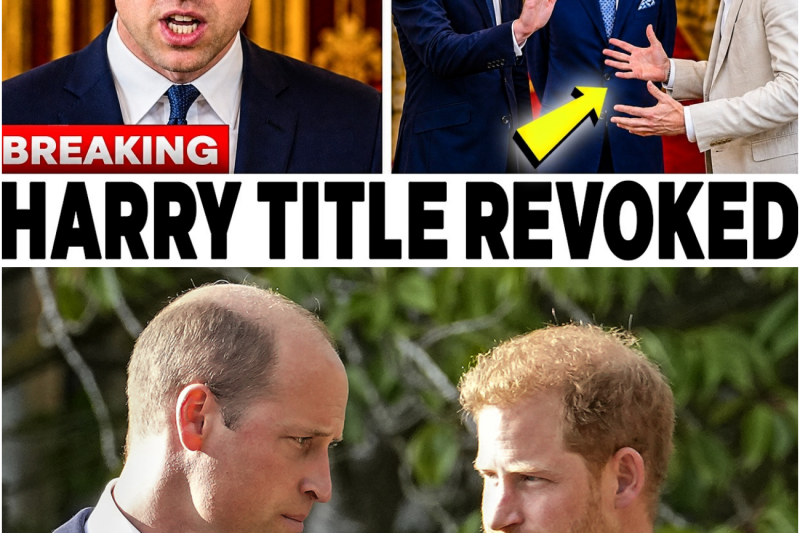El veredicto final de la Corona: El Príncipe Guillermo declara que “todo ha terminado” mientras el Palacio borra definitivamente al Príncipe Harry de su sitio web oficial