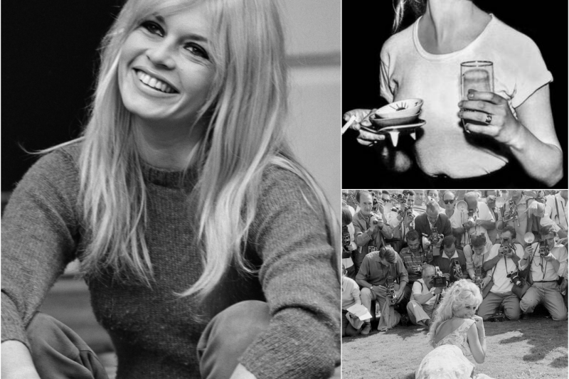 Brigitte Bardot: El Precio de Ser la Mujer Más Deseada del Mundo